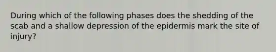 During which of the following phases does the shedding of the scab and a shallow depression of <a href='https://www.questionai.com/knowledge/kBFgQMpq6s-the-epidermis' class='anchor-knowledge'>the epidermis</a> mark the site of injury?