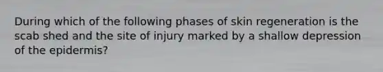 During which of the following phases of skin regeneration is the scab shed and the site of injury marked by a shallow depression of the epidermis?