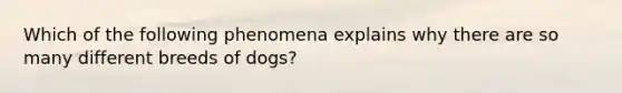 Which of the following phenomena explains why there are so many different breeds of dogs?