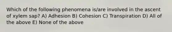 Which of the following phenomena is/are involved in the ascent of xylem sap? A) Adhesion B) Cohesion C) Transpiration D) All of the above E) None of the above