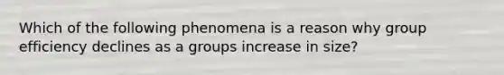 Which of the following phenomena is a reason why group efficiency declines as a groups increase in size?