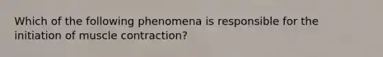 Which of the following phenomena is responsible for the initiation of muscle contraction?