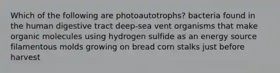 Which of the following are photoautotrophs? bacteria found in the human digestive tract deep-sea vent organisms that make organic molecules using hydrogen sulfide as an energy source filamentous molds growing on bread corn stalks just before harvest