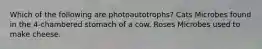 Which of the following are photoautotrophs? Cats Microbes found in the 4-chambered stomach of a cow. Roses Microbes used to make cheese.