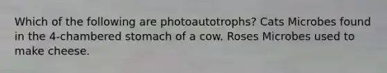 Which of the following are photoautotrophs? Cats Microbes found in the 4-chambered stomach of a cow. Roses Microbes used to make cheese.