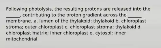 Following photolysis, the resulting protons are released into the ______, contributing to the proton gradient across the ______ membrane. a. lumen of the thylakoid; thylakoid b. chloroplast stroma; outer chloroplast c. chloroplast stroma; thylakoid d. chloroplast matrix; inner chloroplast e. cytosol; inner mitochondrial