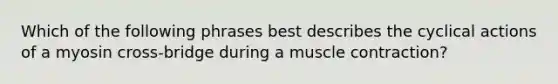 Which of the following phrases best describes the cyclical actions of a myosin cross-bridge during a muscle contraction?