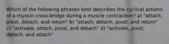 Which of the following phrases best describes the cyclical actions of a myosin cross-bridge during a muscle contraction? a) "attach, pivot, detach, and return" b) "attach, detach, pivot, and return" c) "activate, attach, pivot, and detach" d) "activate, pivot, detach, and attach"