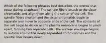 Which of the following phrases best describes the events that occur during anaphase? The spindle fibers attach to the sister chromatids and align them along the center of the cell. The spindle fibers shorten and the sister chromatids begin to separate and move to opposite ends of the cell. The contents of the cell begin to divide as the plasma membrane begins to pinch apart, forming two separate cells. The nuclear envelope begins to re-form around the newly separated chromosomes and the spindle fiber breaks down.