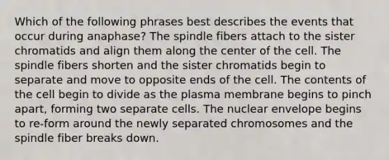 Which of the following phrases best describes the events that occur during anaphase? The spindle fibers attach to the sister chromatids and align them along the center of the cell. The spindle fibers shorten and the sister chromatids begin to separate and move to opposite ends of the cell. The contents of the cell begin to divide as the plasma membrane begins to pinch apart, forming two separate cells. The nuclear envelope begins to re-form around the newly separated chromosomes and the spindle fiber breaks down.