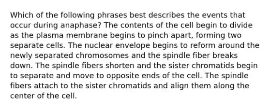 Which of the following phrases best describes the events that occur during anaphase? The contents of the cell begin to divide as the plasma membrane begins to pinch apart, forming two separate cells. The nuclear envelope begins to reform around the newly separated chromosomes and the spindle fiber breaks down. The spindle fibers shorten and the sister chromatids begin to separate and move to opposite ends of the cell. The spindle fibers attach to the sister chromatids and align them along the center of the cell.