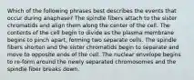 Which of the following phrases best describes the events that occur during anaphase? The spindle fibers attach to the sister chromatids and align them along the center of the cell. The contents of the cell begin to divide as the plasma membrane begins to pinch apart, forming two separate cells. The spindle fibers shorten and the sister chromatids begin to separate and move to opposite ends of the cell. The nuclear envelope begins to re-form around the newly separated chromosomes and the spindle fiber breaks down.