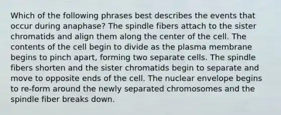 Which of the following phrases best describes the events that occur during anaphase? The spindle fibers attach to the sister chromatids and align them along the center of the cell. The contents of the cell begin to divide as the plasma membrane begins to pinch apart, forming two separate cells. The spindle fibers shorten and the sister chromatids begin to separate and move to opposite ends of the cell. The nuclear envelope begins to re-form around the newly separated chromosomes and the spindle fiber breaks down.