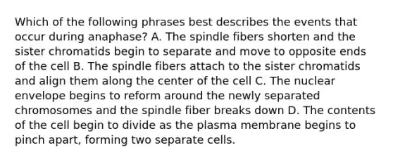 Which of the following phrases best describes the events that occur during anaphase? A. The spindle fibers shorten and the sister chromatids begin to separate and move to opposite ends of the cell B. The spindle fibers attach to the sister chromatids and align them along the center of the cell C. The nuclear envelope begins to reform around the newly separated chromosomes and the spindle fiber breaks down D. The contents of the cell begin to divide as the plasma membrane begins to pinch apart, forming two separate cells.