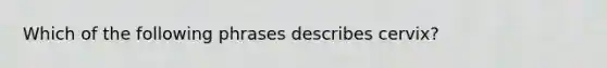 Which of the following phrases describes cervix?