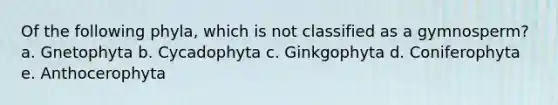 Of the following phyla, which is not classified as a gymnosperm? a. Gnetophyta b. Cycadophyta c. Ginkgophyta d. Coniferophyta e. Anthocerophyta