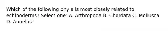 Which of the following phyla is most closely related to echinoderms? Select one: A. Arthropoda B. Chordata C. Mollusca D. Annelida