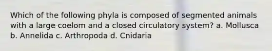 Which of the following phyla is composed of segmented animals with a large coelom and a closed circulatory system? a. Mollusca b. Annelida c. Arthropoda d. Cnidaria