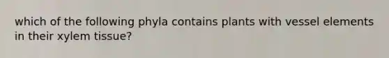 which of the following phyla contains plants with vessel elements in their xylem tissue?