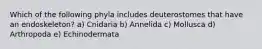 Which of the following phyla includes deuterostomes that have an endoskeleton? a) Cnidaria b) Annelida c) Mollusca d) Arthropoda e) Echinodermata