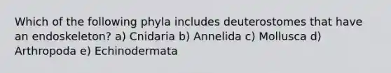 Which of the following phyla includes deuterostomes that have an endoskeleton? a) Cnidaria b) Annelida c) Mollusca d) Arthropoda e) Echinodermata