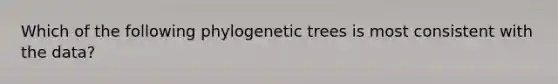 Which of the following phylogenetic trees is most consistent with the data?