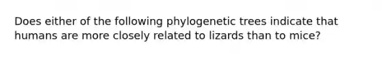 Does either of the following phylogenetic trees indicate that humans are more closely related to lizards than to mice?