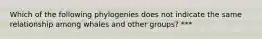 Which of the following phylogenies does not indicate the same relationship among whales and other groups? ***