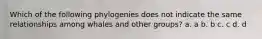 Which of the following phylogenies does not indicate the same relationships among whales and other groups? a. a b. b c. c d. d