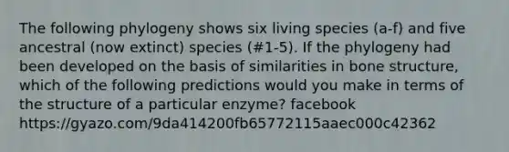 The following phylogeny shows six living species (a-f) and five ancestral (now extinct) species (#1-5). If the phylogeny had been developed on the basis of similarities in bone structure, which of the following predictions would you make in terms of the structure of a particular enzyme? facebook https://gyazo.com/9da414200fb65772115aaec000c42362