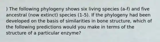 ) The following phylogeny shows six living species (a-f) and five ancestral (now extinct) species (1-5). If the phylogeny had been developed on the basis of similarities in bone structure, which of the following predictions would you make in terms of the structure of a particular enzyme?