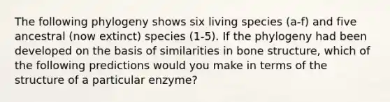 The following phylogeny shows six living species (a-f) and five ancestral (now extinct) species (1-5). If the phylogeny had been developed on the basis of similarities in bone structure, which of the following predictions would you make in terms of the structure of a particular enzyme?