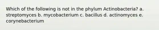 Which of the following is not in the phylum Actinobacteria? a. streptomyces b. mycobacterium c. bacillus d. actinomyces e. corynebacterium