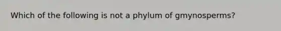 Which of the following is not a phylum of gmynosperms?