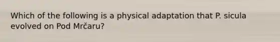 Which of the following is a physical adaptation that P. sicula evolved on Pod Mrčaru?