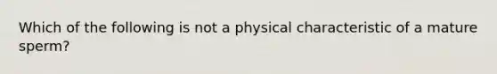 Which of the following is not a physical characteristic of a mature sperm?