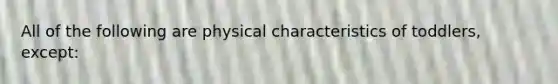 All of the following are physical characteristics of toddlers, except: