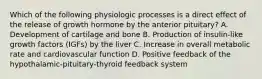 Which of the following physiologic processes is a direct effect of the release of growth hormone by the anterior pituitary? A. Development of cartilage and bone B. Production of insulin-like growth factors (IGFs) by the liver C. Increase in overall metabolic rate and cardiovascular function D. Positive feedback of the hypothalamic-pituitary-thyroid feedback system