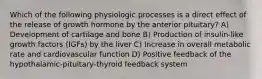 Which of the following physiologic processes is a direct effect of the release of growth hormone by the anterior pituitary? A) Development of cartilage and bone B) Production of insulin-like growth factors (IGFs) by the liver C) Increase in overall metabolic rate and cardiovascular function D) Positive feedback of the hypothalamic-pituitary-thyroid feedback system