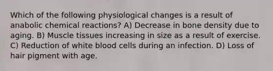 Which of the following physiological changes is a result of anabolic chemical reactions? A) Decrease in bone density due to aging. B) Muscle tissues increasing in size as a result of exercise. C) Reduction of white blood cells during an infection. D) Loss of hair pigment with age.