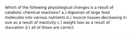 Which of the following physiological changes is a result of catabolic chemical reactions? a.) digestion of large food molecules into various nutrients b.) muscle tissues decreasing in size as a result of inactivity c.) weight loss as a result of starvation d.) all of these are correct