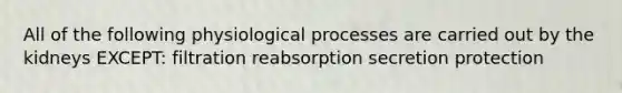 All of the following physiological processes are carried out by the kidneys EXCEPT: filtration reabsorption secretion protection