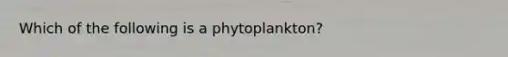 Which of the following is a phytoplankton?