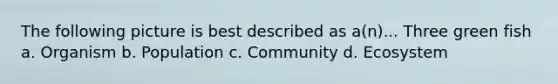 The following picture is best described as a(n)... Three green fish a. Organism b. Population c. Community d. Ecosystem