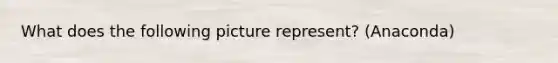 What does the following picture represent? (Anaconda)