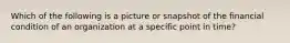 Which of the following is a picture or snapshot of the financial condition of an organization at a specific point in time?