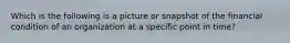 Which is the following is a picture or snapshot of the financial condition of an organization at a specific point in time?