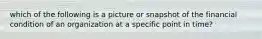 which of the following is a picture or snapshot of the financial condition of an organization at a specific point in time?