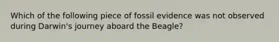 Which of the following piece of fossil evidence was not observed during Darwin's journey aboard the Beagle?