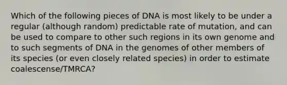 Which of the following pieces of DNA is most likely to be under a regular (although random) predictable rate of mutation, and can be used to compare to other such regions in its own genome and to such segments of DNA in the genomes of other members of its species (or even closely related species) in order to estimate coalescense/TMRCA?